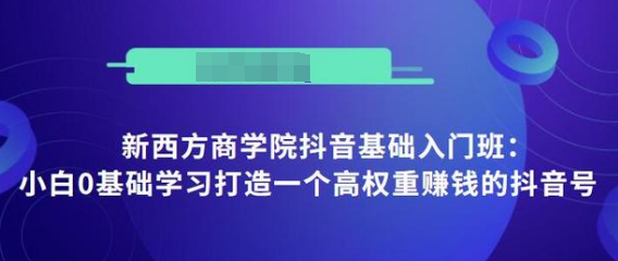 抖音基础入门班：小白0基础学习打造一个高权重赚钱的抖音号-一点通资源网
