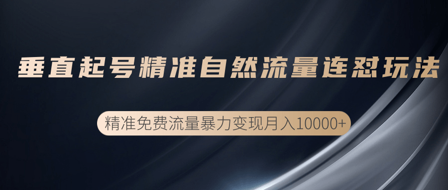 垂直起号精准自然流量连爆玩法，精准引流暴力变现月入10000+-一点通资源网