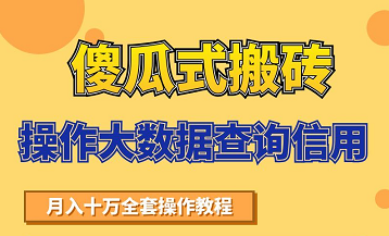 搬砖操作大数据查询信用项目赚钱教程，祝你快速月入6万-一点通资源网