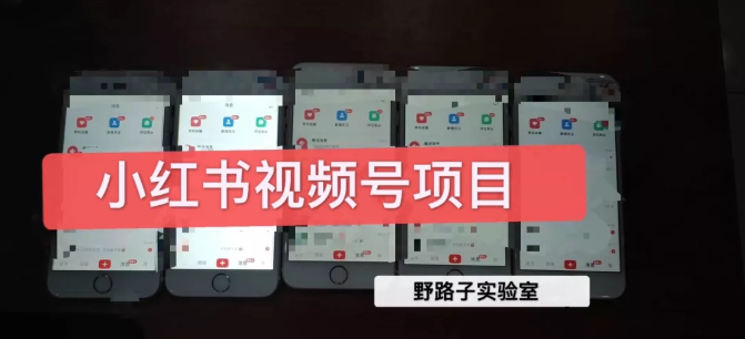 野路子小红书视频号1.0项目，直接上手操作就能赚钱的视频号项目-一点通资源网