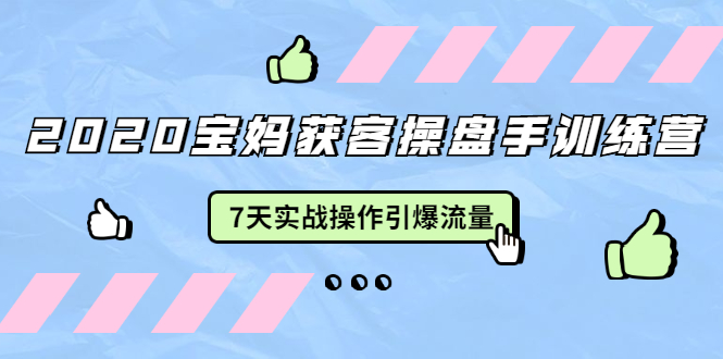 2020宝妈获客操盘手训练营：7天实战操作引爆 母婴、都市、购物宝妈流量-一点通资源网