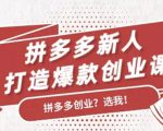 拼多多新人打造爆款创业课:快速引流持续出单,适用于所有新人-一点通资源网
