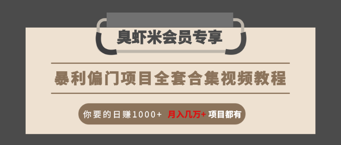 暴利偏门项目全套合集视频教程：你要的日赚1000+月入几万+项目都有-一点通资源网