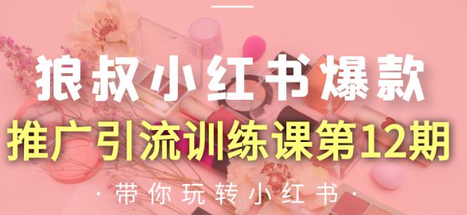 狼叔小红书爆款推广引流训练课第12期，手把手带你玩转小红书-一点通资源网