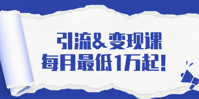 引流&变现课：分享一整套流量方法以及各个渠道收入，每月最低1万起！-一点通资源网