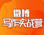 村西边老王·微博超级写作实战营,帮助你粉丝猛涨价值999元-一点通资源网