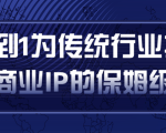从0到1为传统行业打造抖音商业IP简单高效的保姆级攻略-一点通资源网