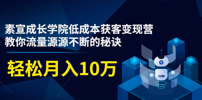 素宣成长学院低成本获客变现营，教你流量源源不断的秘诀，轻松月入10万-一点通资源网