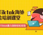最新Tiktok海外掘金培训课堂:带你玩转Tiktok暴力涨粉轻松变现-一点通资源网
