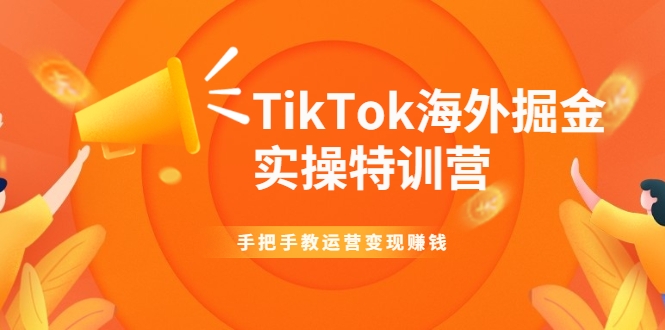 TikTok海外掘金实操特训营：手把手教运营变现赚钱-一点通资源网