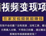 在家也能操作的短视频赚钱项目，无需真人，不用拍摄，纯搬运月入2到5万-一点通资源网