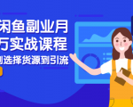 2021闲鱼副业月入过万实战课程：从开店到选择货源到引流，全程实战教学-一点通资源网