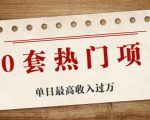 30套热门项目：单日最高收入过万 (网赚项目、朋友圈、涨粉套路、抖音、快手)等-一点通资源网