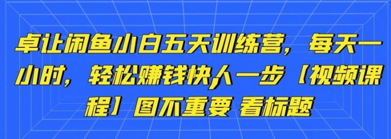卓让闲鱼小白五天训练营，每天一小时，轻松赚钱快人一步-一点通资源网