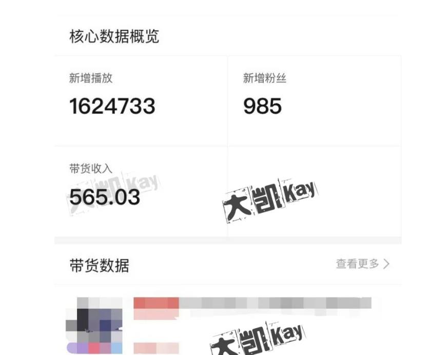 大凯进阶圈新玩法之拼多多视频玩法，利润大概一个号一天能有500~1500的左右!-一点通资源网