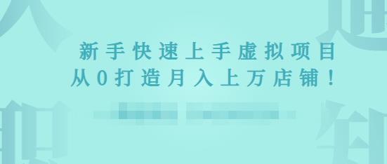 2022年虚拟项目实战指南，新手从0打造月入上万店铺-一点通资源网