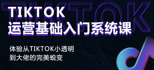 Tiktok实操进阶课程，体验从tiktok小透明到大佬的完美蜕变-一点通资源网