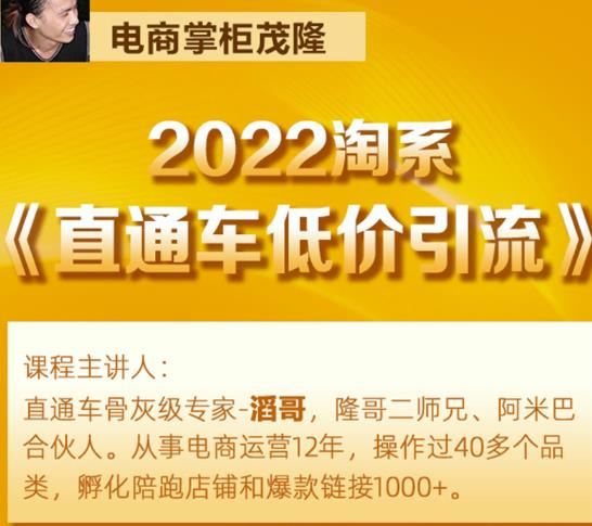 茂隆2022直通车低价引流玩法，教大家如何低投入高回报的直通车玩法-一点通资源网