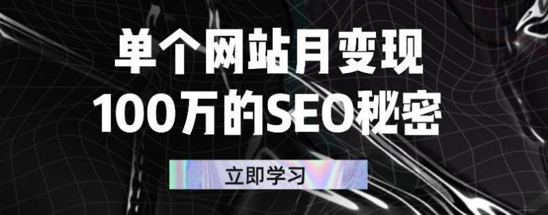 单个网站月变现100万的SEO秘密，百分百做出赚钱站点-一点通资源网