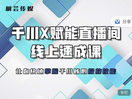 枫芸传媒-线上千川提升课，提升千川认知，提升千川投放效果-一点通资源网