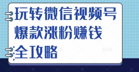 玩转微信视频号爆款涨粉赚钱全攻略，让你快速抓住流量风口，收获红利财富-一点通资源网