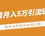 老古董·抖音月入5万引流玩法,看看老司机如何玩转抖音(附赠:抖音另类引流思路)-一点通资源网