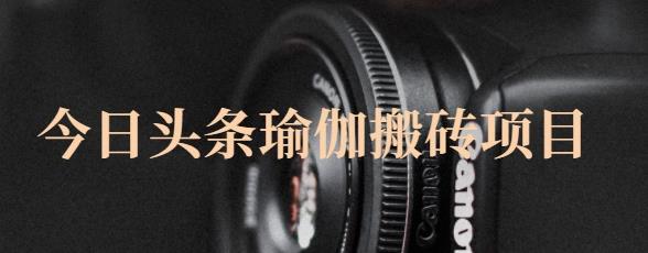 猎人社区·今日头条瑜伽搬砖项目，单号一天几十收入，可以批量操作！-一点通资源网