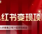 渣圈学苑·小红书虚拟资源变现项目,一起捞钱掘金价值1099元-一点通资源网