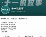 十一说故事·故事性中视频,观众快速共鸣从而快速变现的中视频玩法-一点通资源网