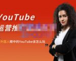 外国人眼中的YouTube该怎么玩?Elisa·YouTube运营推广实战技巧-一点通资源网