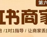 贾真-小红书商家营第6期商家版,21天带货陪跑课,让商家丢掉付流量-一点通资源网