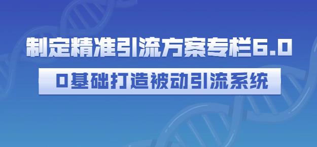 制定精准引流方案专栏6.0，0基础打造被动引流系统-一点通资源网
