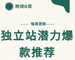 【跨境B哥】独立站潜力爆款选品推荐,测款出单率高达百分之80-一点通资源网