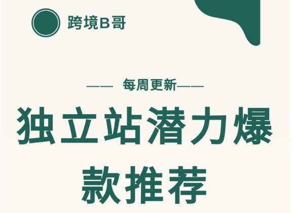 【跨境B哥】独立站潜力爆款选品推荐，测款出单率高达百分之80-一点通资源网