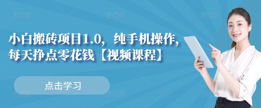小白搬砖项目1.0，纯手机操作，每天兼职挣点零花钱-一点通资源网