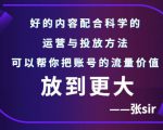 张sir账号流量增长课,告别海王流量,让你的流量更精准-一点通资源网