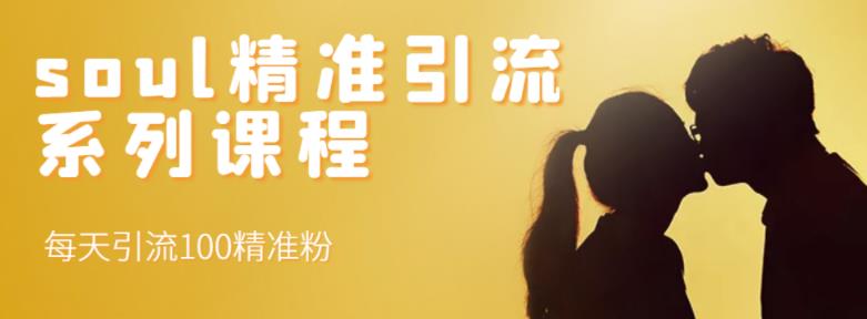 soul精准引流系列课程，每天引流100精准粉-一点通资源网