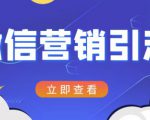 微信营销策划引流系列课程,每天引流100精准粉-一点通资源网