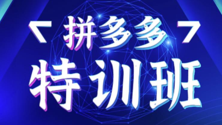 星雪教育·拼多多基础班+进阶班+突破班，用系统的学习模式快速改变现状价值3580元-一点通资源网
