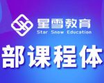 星雪教育淘系高级班,更全的运营提升方案,零基础由浅入深,店铺最新玩法-一点通资源网