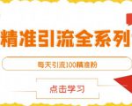 闲鱼精准引流全系列课程,每天引流100精准粉【视频课程】-一点通资源网