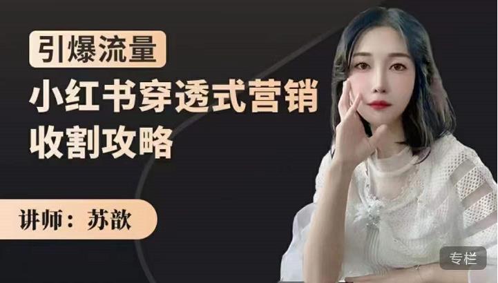 苏歆：小红书穿透式营销收割攻略，引爆流量，助你玩转小红书-一点通资源网