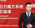阿呆-引力魔方系统实操课,全体系实战教学,助你快速掌握推荐流量底层逻辑-一点通资源网