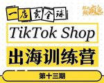 TikTokShop出海训练营（第十三期），打开全球流量新思维，出海抢占全球新流量，一店卖全球-一点通资源网