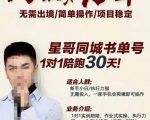星哥同城教育书单号课程,无需出境简单操作项目稳定-一点通资源网