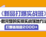 凌童《新品打爆实战班》,一套完整的实操实战落地方法，打爆链接超2000+（28节课)-一点通资源网
