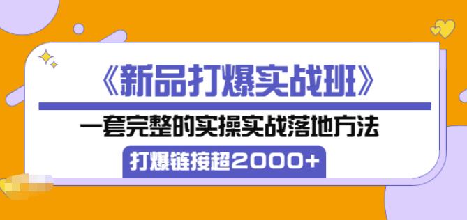 凌童《新品打爆实战班》,一套完整的实操实战落地方法，打爆链接超2000+（28节课)-一点通资源网