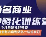 杨名商业IP孵化训练营，从商业到内容到转化一站式学 价值5980元-一点通资源网