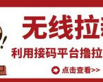 最新接码无限拉新项目,利用接码平台赚拉新平台差价,轻松日赚500+-一点通资源网
