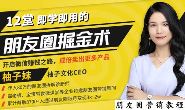 【营销必学】12堂学之即用的朋友圈掘金术：开启你的副业赚钱之路-一点通资源网